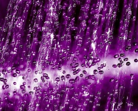 purple_rain